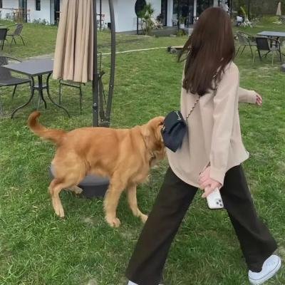 耗尽一生